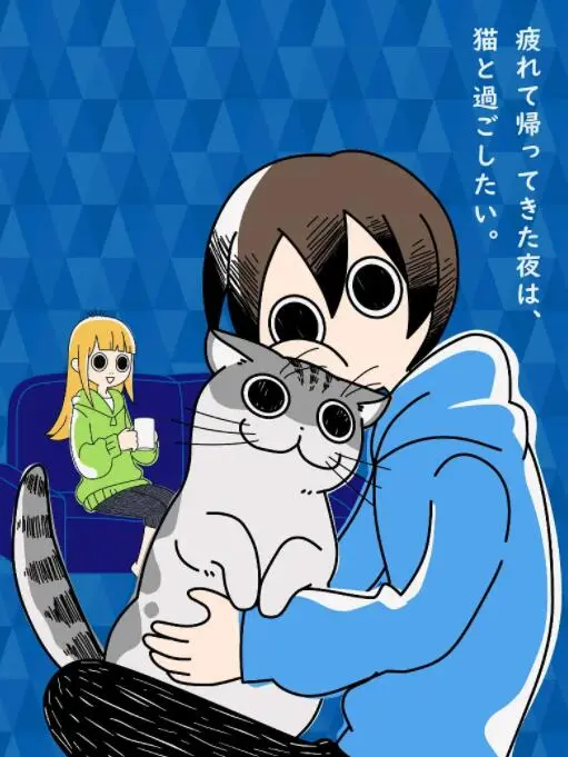 《关于养猫我一直是新手》：一部献给所有猫奴的温馨治愈电影